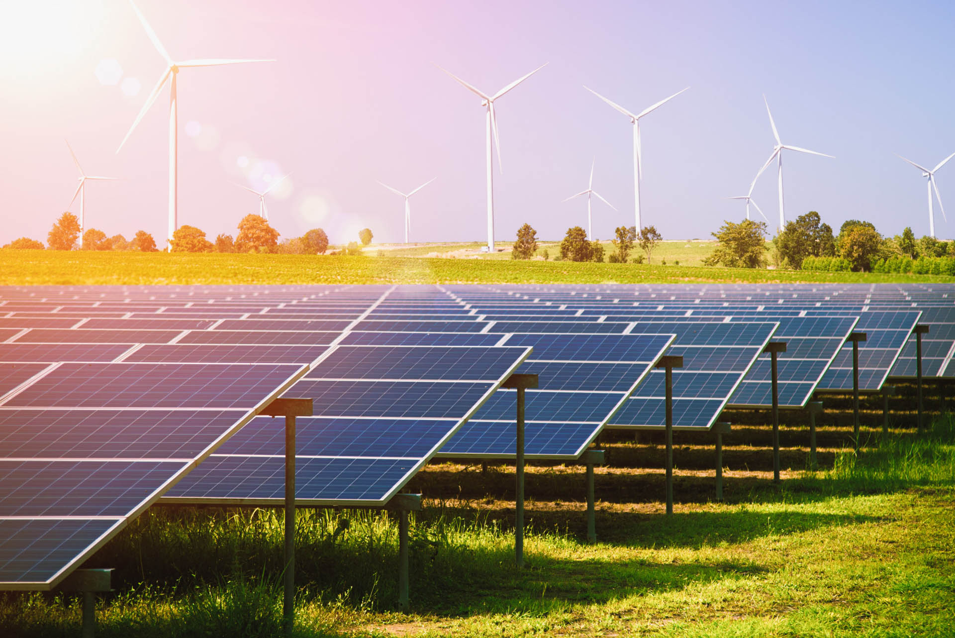 Solar Energy Surpasses Milestone